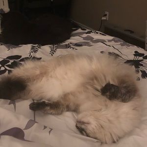 Meet your Posher, Emily